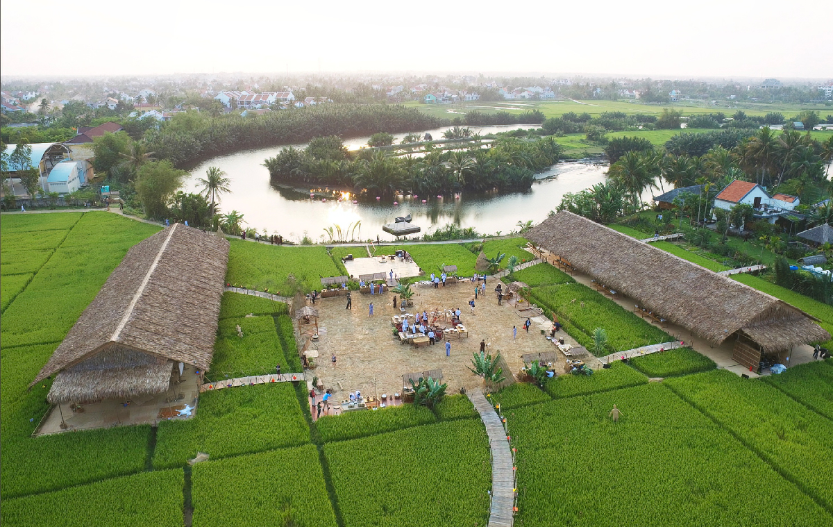 Rice Plantation